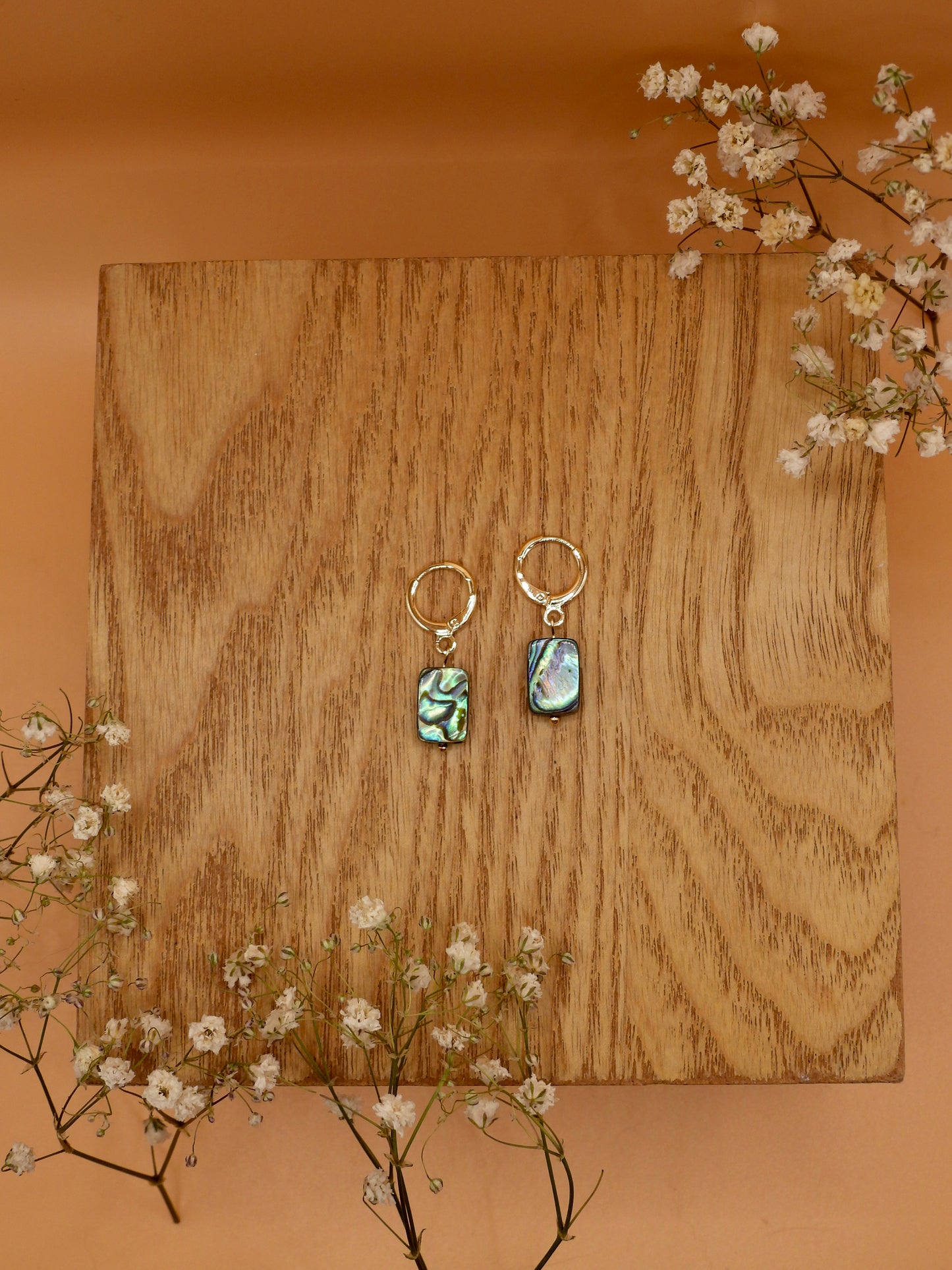 abalone rectangle earring